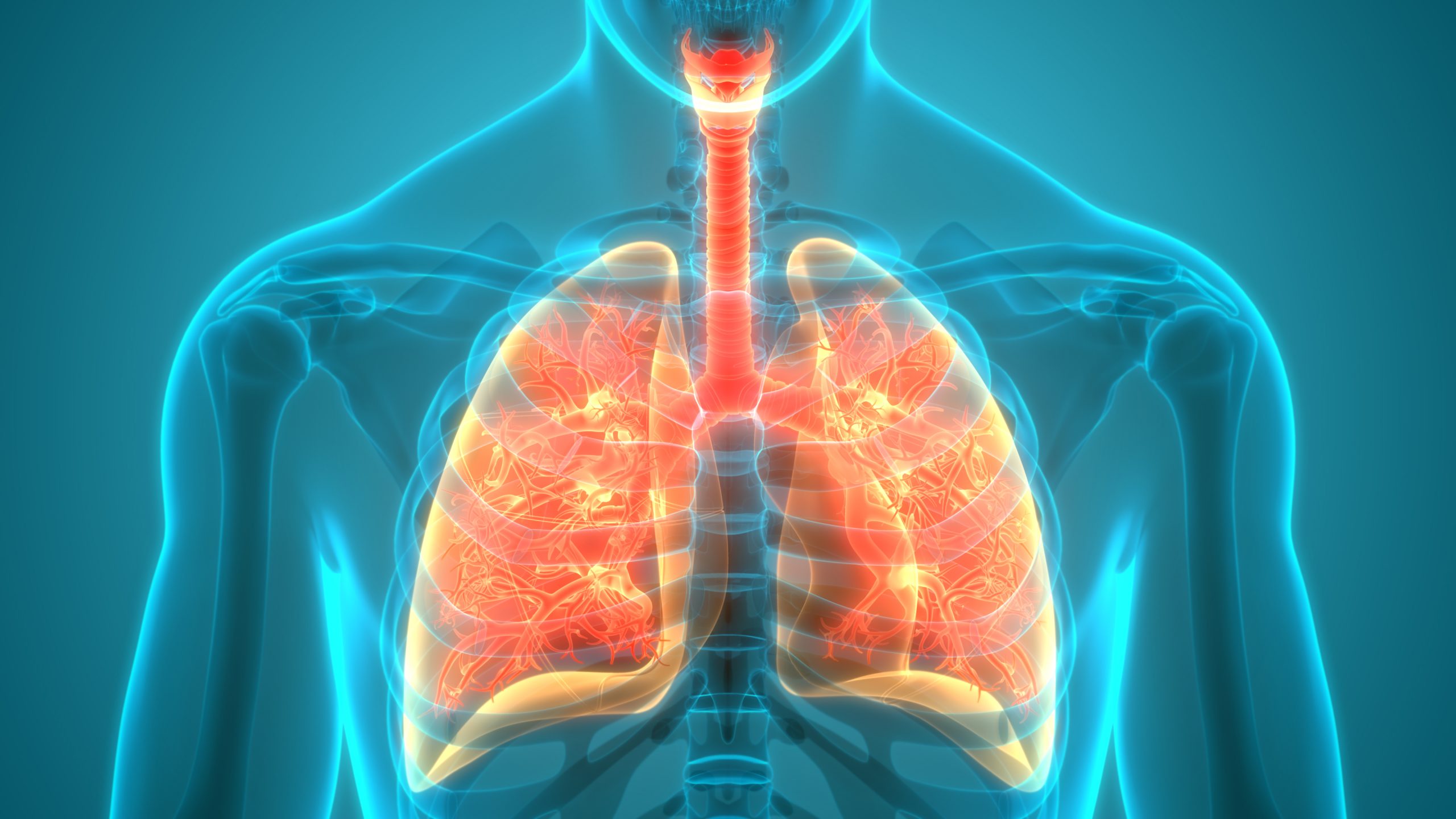 Lunge, COPD, Körper, Lungenfunktion