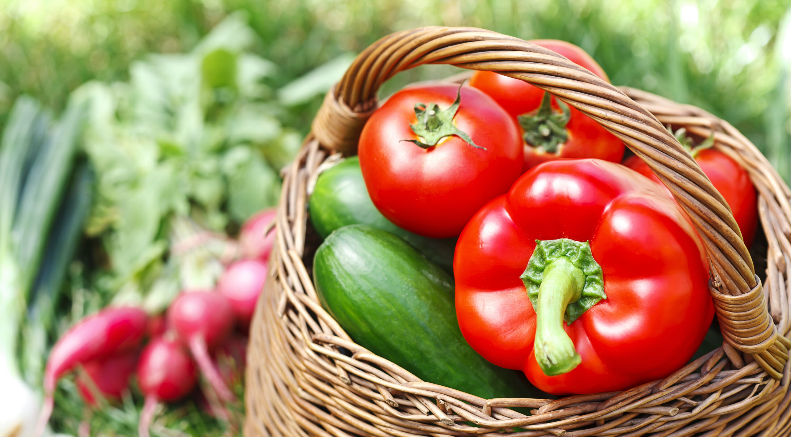 Gemüse, Paprika, gesunde Ernährung, pflanzliche Ernährung, Gemüsekorb, Feldgemüse, Landwirtschaft